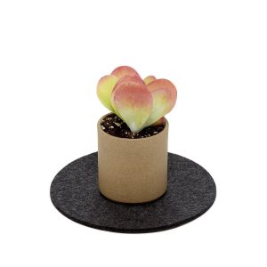 Round Merino Wool Felt Trivet 8": Charcoal